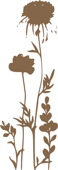 kvítí3